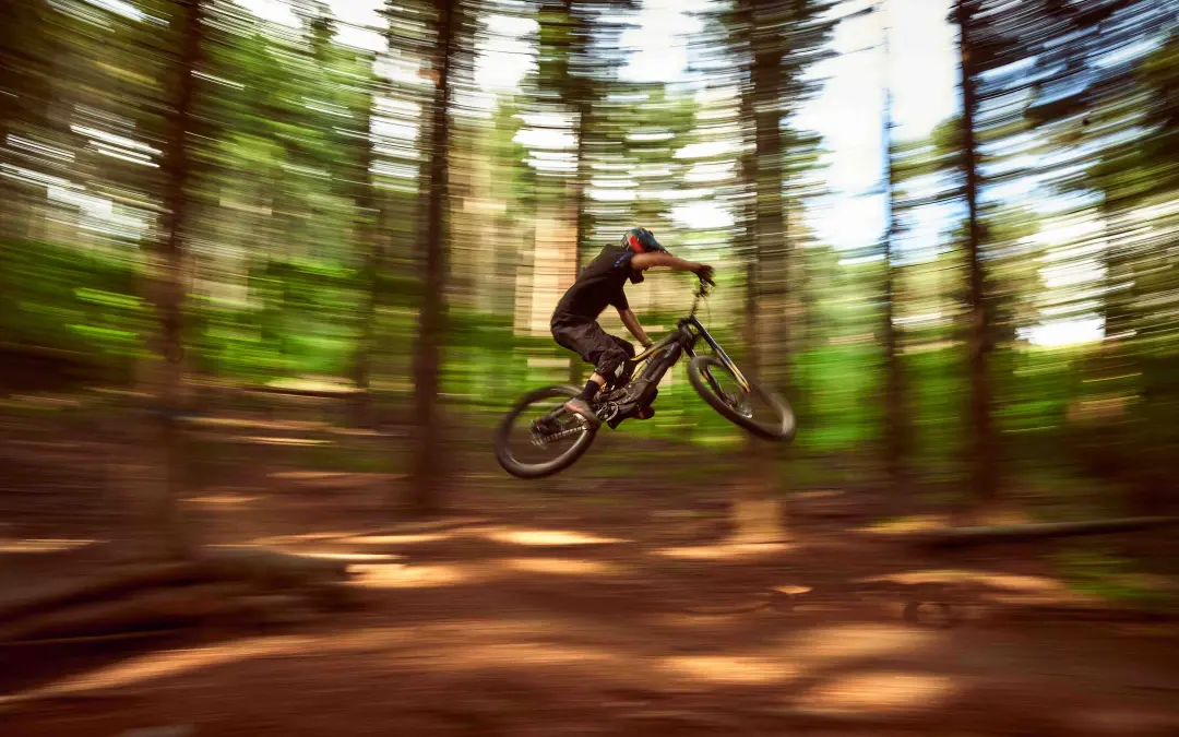 Moto, Vélo ou VENOM ? L&rsquo;Accélérateur de SEM qui bouscule toutes les catégories